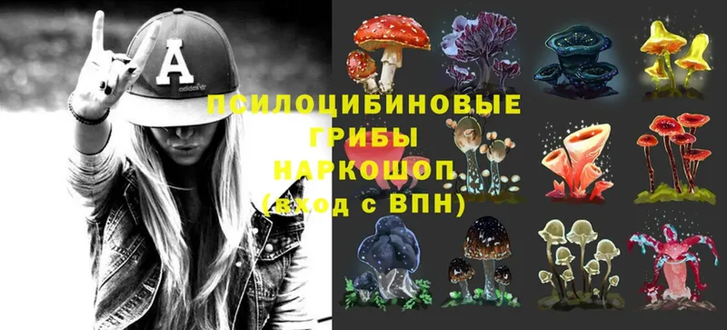 Псилоцибиновые грибы Magic Shrooms  цена наркотик  Новосибирск 