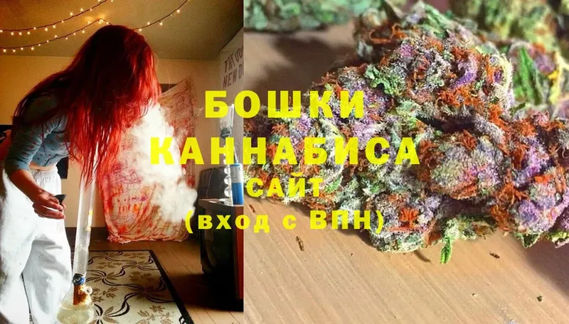 ссылка на мегу ССЫЛКА  Новосибирск  Шишки марихуана сатива 